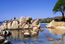 熊猫体育世界杯-当丹佛高原的爆发遇上东方压哨绝杀，体育宇宙的奇妙交汇